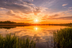 Finding Quiet Strength and Rest in God